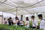 Không nên sắp xếp cơ học các ngành nông, lâm, thủy sản chỉ vì khó tuyển sinh