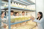 Nhu cầu lao động cao, sinh viên học Công nghệ sinh học nhiều cơ hội phát triển