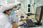 Sáp nhập viện nghiên cứu vào CSGDĐH: Bước tiến quan trọng hình thành đại học nghiên cứu thực sự