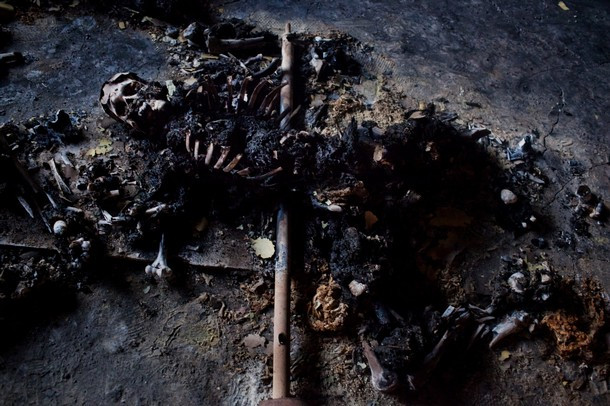 Cảnh tượng kinh hoàng trong ngôi nhà mới được phiến quân phát hiện