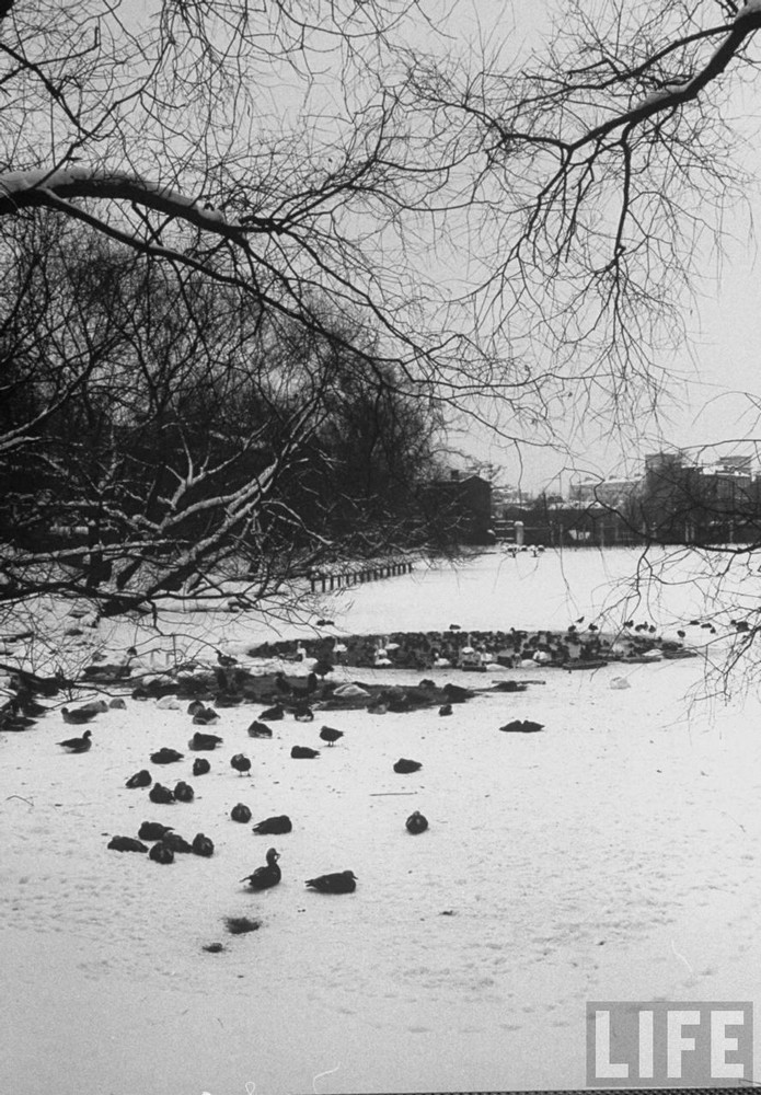 Moscow, Nga mùa Đông năm 1959 Moscow, Nga mùa Đông năm 1959