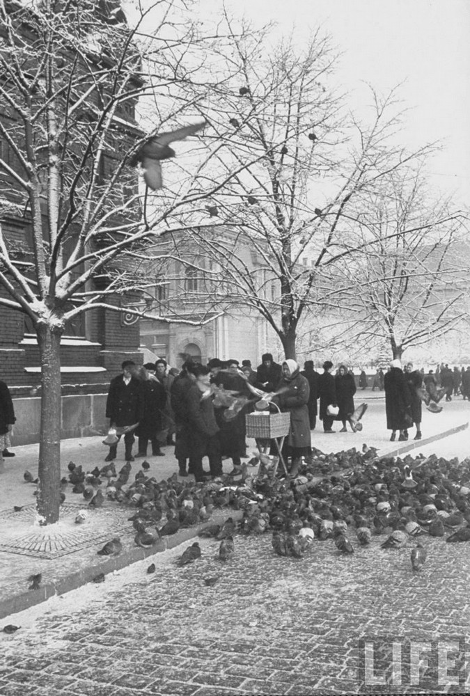 Moscow, Nga mùa Đông năm 1959 Moscow, Nga mùa Đông năm 1959