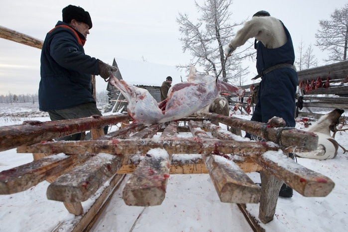 Trang trại nuôi hươu của gia đình ông Vasily Nikolaevich