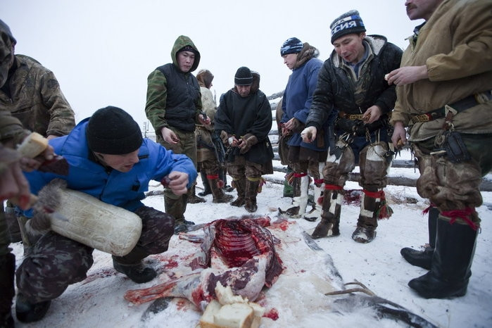 Trang trại nuôi hươu của gia đình ông Vasily Nikolaevich