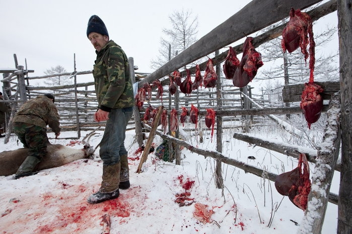 Trang trại nuôi hươu của gia đình ông Vasily Nikolaevich