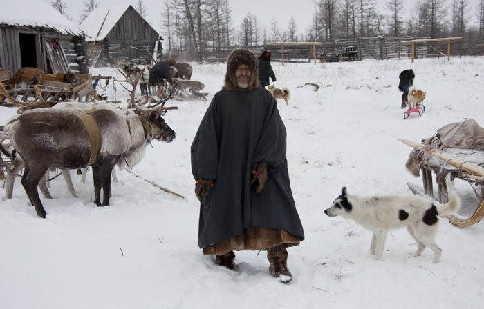 Trang trại nuôi hươu của gia đình ông Vasily Nikolaevich