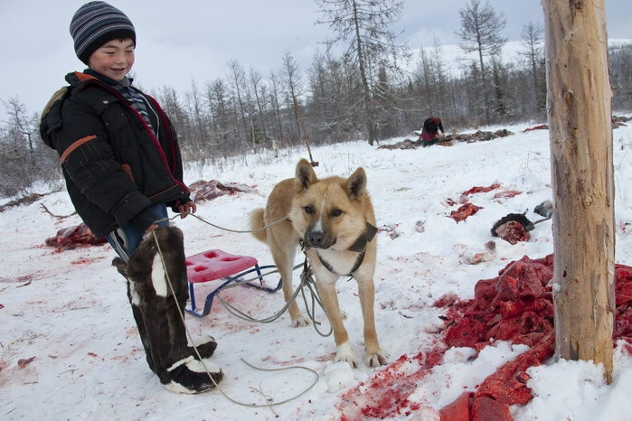 Trang trại nuôi hươu của gia đình ông Vasily Nikolaevich