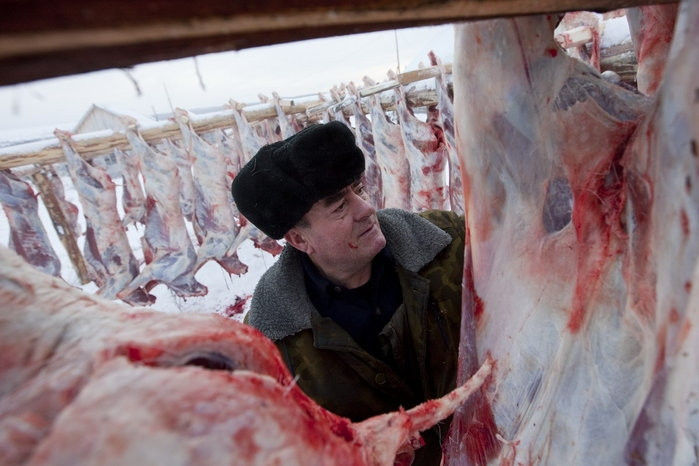 Trang trại nuôi hươu của gia đình ông Vasily Nikolaevich