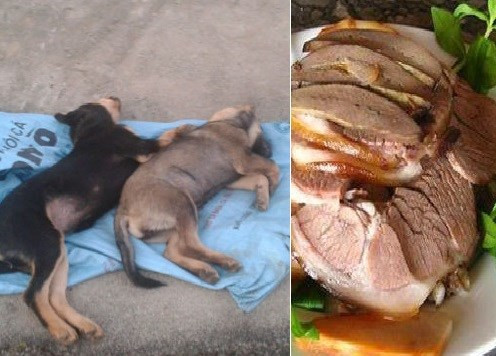 Ảnh có tính chất minh họa. Ảnh có tính chất minh họa.