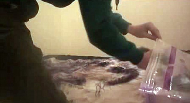 Trước đó cư dân mạng cũng từng rúng động với video một kẻ tra tấn và giết những chú mèo con... Trước đó cư dân mạng cũng từng rúng động với video một kẻ tra tấn và giết những chú mèo con...