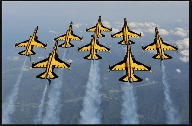 Phi đội Đại bàng đen của Không quân Hàn Quốc Phi đội Đại bàng đen của Không quân Hàn Quốc