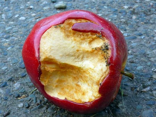 Apple đang trốn thuế hàng tỷ USD ảnh 1 Apple đang trốn thuế hàng tỷ USD ảnh 1