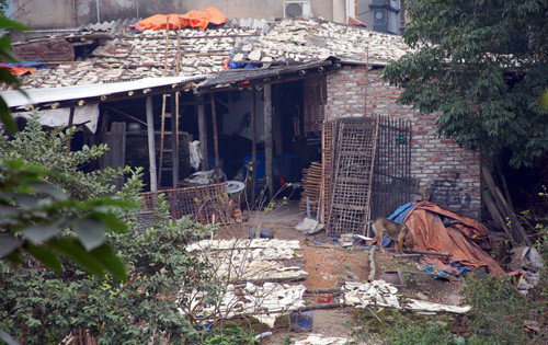 Bóng bì được phơi trên mái nhà, dưới sân đất. Bóng bì được phơi trên mái nhà, dưới sân đất.