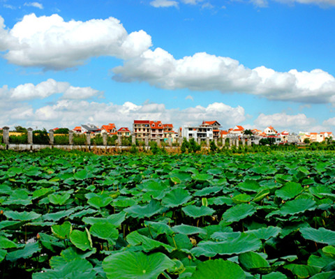 Biệt thự ven hồ Tây được chào với giá trăm tỷ đồng. Ảnh: Hoàng Hà.