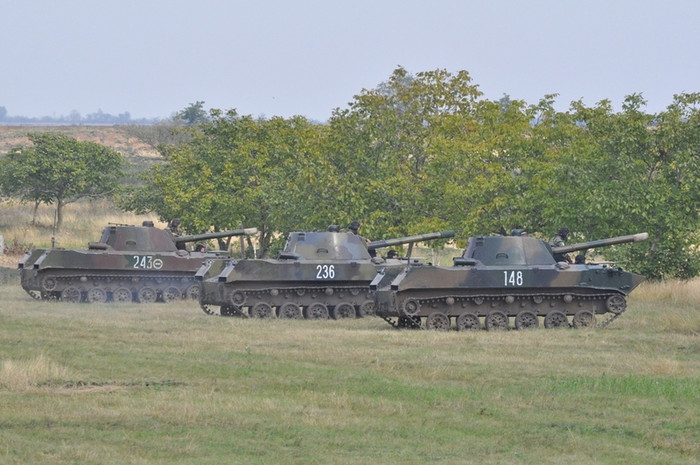 Tập trận bắn đạn thật “CETATEA 2012”