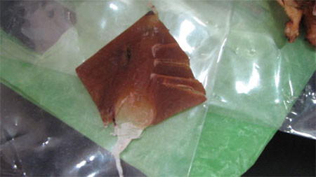 Đuôi mực giả được cắt thẳng không tự nhiên như đuôi mực thật Đuôi mực giả được cắt thẳng không tự nhiên như đuôi mực thật