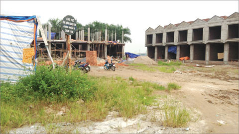 Cỏ dại mọc nhiều nơi tại Dự án Chợ Kim Nỗ. Cỏ dại mọc nhiều nơi tại Dự án Chợ Kim Nỗ.