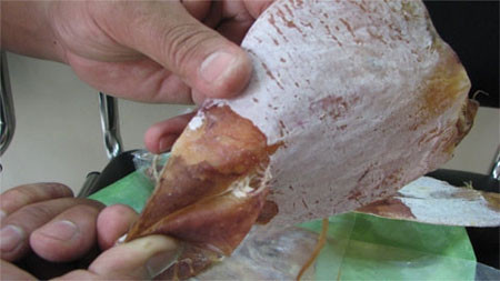 Đuôi mực được gắn bằng keo Đuôi mực được gắn bằng keo