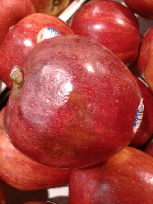 Táo dập cũng vẫn được bày bán trên quầy. Ảnh chụp sáng 31/7.