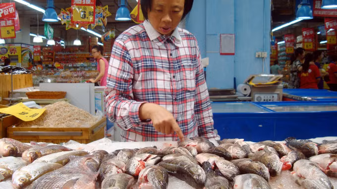 Một phụ nữ đang chọn cá trong siêu thị ở TP Tô Châu, Trung Quốc - Ảnh: AFP