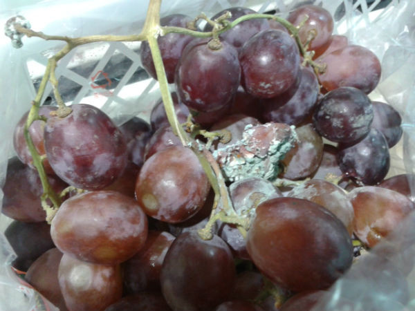 Lô nho mốc xanh vẫn ngự trên quầy hoa quả tươi bán cho khách hàng. (Ảnh chụp ngày 31/7)