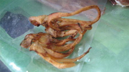 Râu mực giả đã nướng Râu mực giả đã nướng