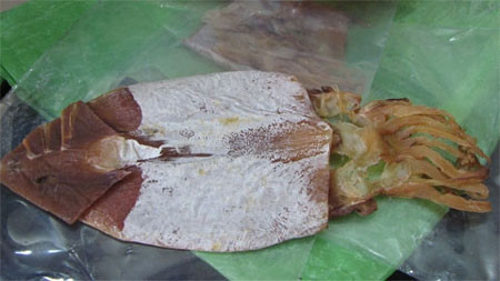 Mực giả nguyên con trông rất giống mực thật Mực giả nguyên con trông rất giống mực thật