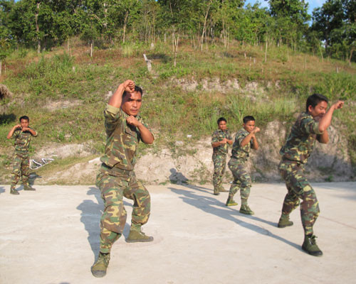 ...để có thể hạ gục đối phương bằng nhiều cách, như bằng võ thuật chẳng hạn