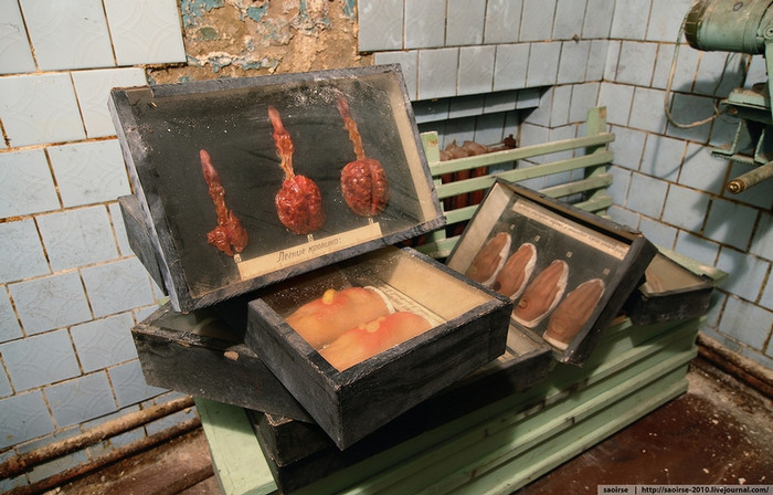 Những mẫu mô tả triệu chứng nhiễm độc hóa học