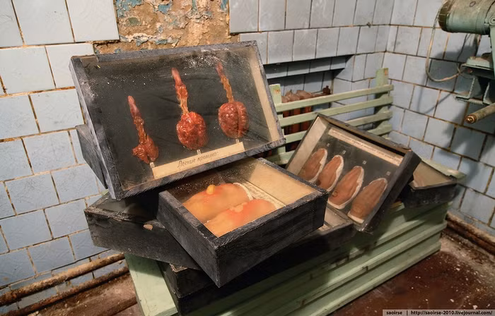 Những mẫu mô tả triệu chứng nhiễm độc hóa học