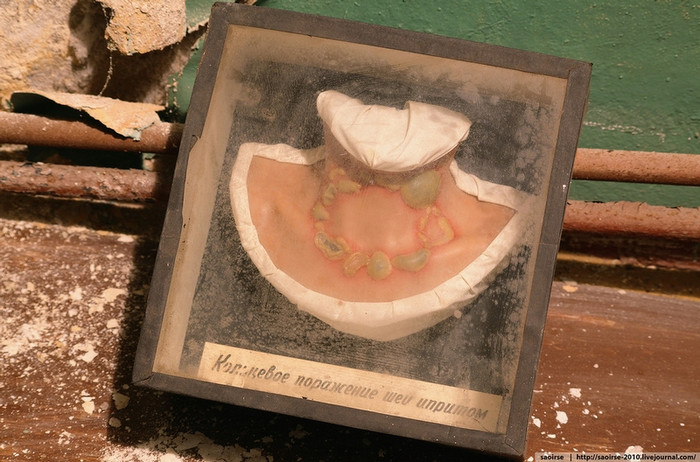 Những mẫu mô tả triệu chứng nhiễm độc hóa học