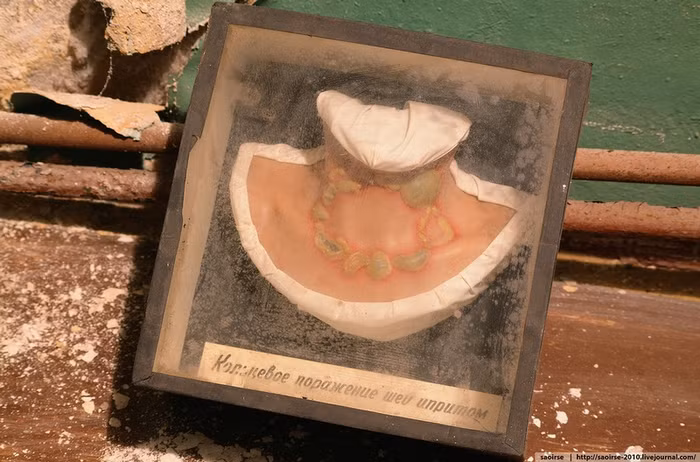 Những mẫu mô tả triệu chứng nhiễm độc hóa học