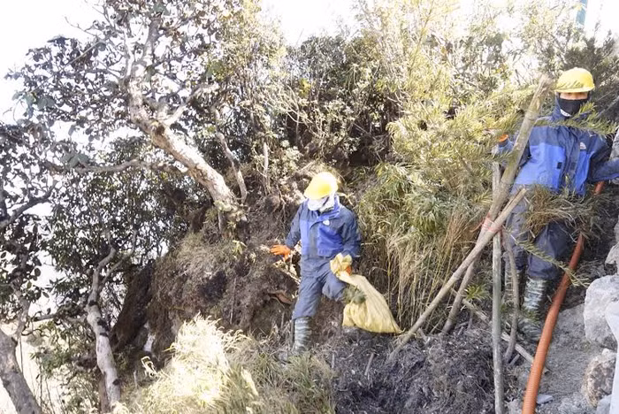 Với điều kiện thời tiết thất thường, vào những ngày sương mù hoặc mùa đông Sapa, công việc dự kiến còn vất vả hơn nhiều, chưa kể phải đối mặt với nhiều loại côn trùng độc hại.