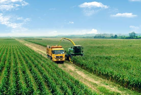 Trang trại TH chả khác gì trang trại ở Mỹ Trang trại TH chả khác gì trang trại ở Mỹ