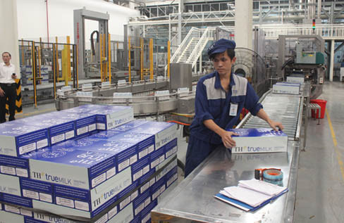 Việc chăm bẵm bò cầu kỳ, đúng tiêu chuẩn kỹ thuật, sẽ cho ra nguồn sữa tốt Việc chăm bẵm bò cầu kỳ, đúng tiêu chuẩn kỹ thuật, sẽ cho ra nguồn sữa tốt