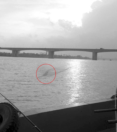 Hình ảnh "quái vật" gây xôn xao cộng đồng mạng.