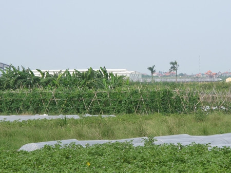 Các dự án hầu hết được khởi công rầm rộ vào giai đoạn 2008-2009, nhưng đến nay hạ tầng vẫn dang dở. Máy móc thi công đã được di chuyển đi nơi khác, đất dự án bỏ hoang từ nhiều tháng nay. Các dự án hầu hết được khởi công rầm rộ vào giai đoạn 2008-2009, nhưng đến nay hạ tầng vẫn dang dở. Máy móc thi công đã được di chuyển đi nơi khác, đất dự án bỏ hoang từ nhiều tháng nay.
