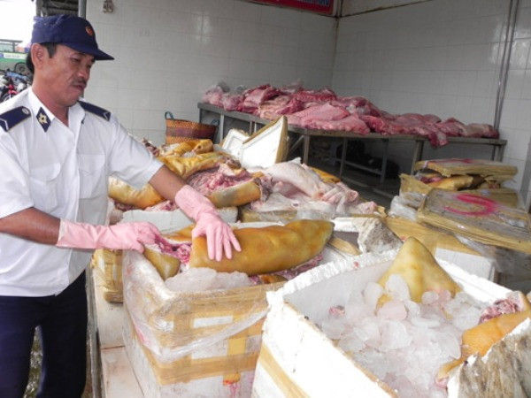 Cách thứ hai cầu kỳ và tốn kém hơn đó là mua lợn sề, lợn nái còn sống, sau đó về bỏ đói đến khi lợn kiệt sức nhằm giảm lượng mỡ của lợn sau đó mới tiến hành sơ chế. Ảnh: Cách đây không lâu, trạm kiểm dịch động vật Thủ Đức (TP.HCM) phối hợp với Đội Cảnh sát Giao thông Rạch chiếc đã kiểm tra, phát hiện và ngăn chặn một xe chở khách đang tuồn gần một tấn thịt heo nái được mông má thành thịt heo rừng vào TP.HCM tiêu thụ. Ảnh: Thanh niên