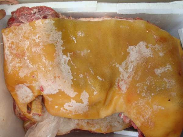 Như vậy công đoạn sơ chế thịt lợn nhà thành thịt lợn rừng đã hoàn thành. Miếng thịt heo nhà đã biến thành thịt heo rừng thơm ngon và rất bắt mắt. Cứ thế các lái buôn ung dung giao thành phẩm cho nhà hàng hoặc bày bán tại các chợ.