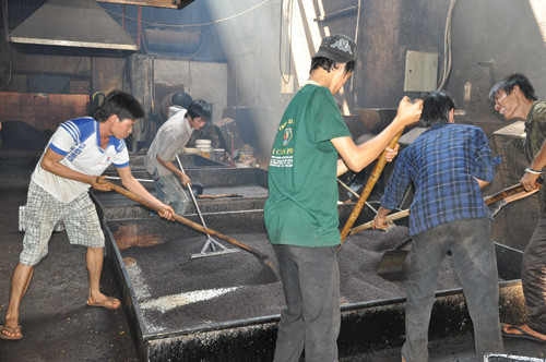 Đậu nành sau khi trộn các loại hóa chất, hương liệu và rang xong Đậu nành sau khi trộn các loại hóa chất, hương liệu và rang xong