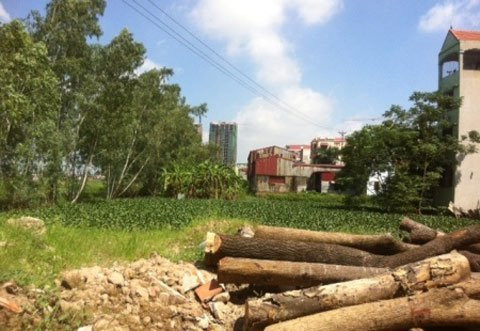 Nhiều dự án để hoang không triển khai đang bị tái lấn chiếm Nhiều dự án để hoang không triển khai đang bị tái lấn chiếm