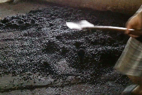 Trộn xong màu, đậu nành được đổ ra nền đất - Ảnh: Hoài Nam