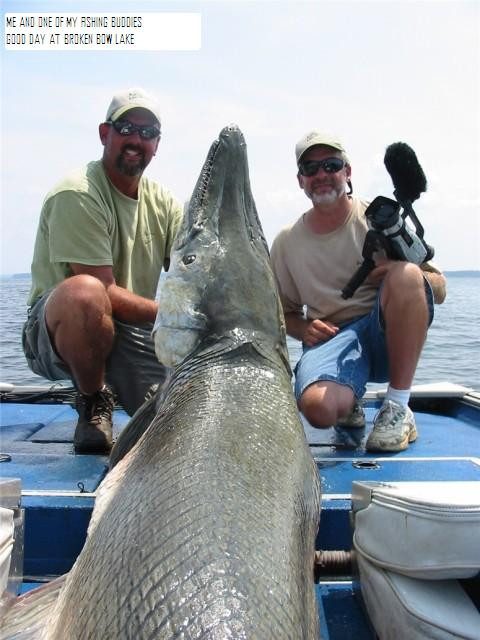 Cá sấu mõm dài Alligator Gar