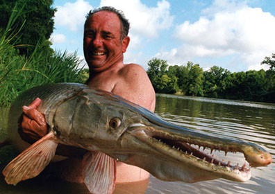 Cá sấu mõm dài Alligator Gar