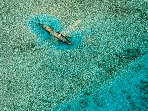 Một chiếc máy bay Cessna C172 nằm dưới đáy biển gần hòn đảo Bahamas. Chiếc máy bay bị rơi vào năm 1980 khi đang vận chuyển ma túy trái phép từ Colombia đến Bahamas - Ảnh: Bjorn Moerman.