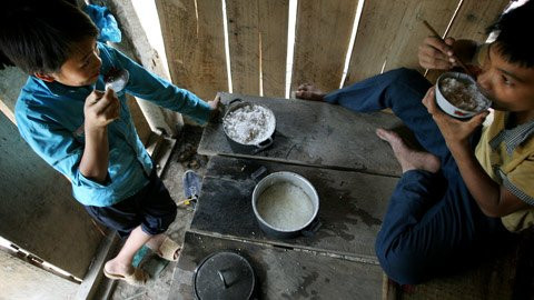 Bữa trưa tự nấu của hai học sinh trường THCS Thượng Nung (Xã Thượng Nung, huyện Võ Nhai, Thái Nguyên) không có gị ngoài cơm trắng và nước cơm. Bữa trưa tự nấu của hai học sinh trường THCS Thượng Nung (Xã Thượng Nung, huyện Võ Nhai, Thái Nguyên) không có gị ngoài cơm trắng và nước cơm.