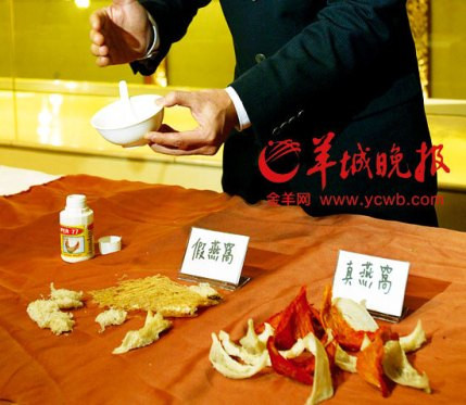 Nhuộm đỏ yến sào thành… yến huyết thượng hạng ảnh 3 Nhuộm đỏ yến sào thành… yến huyết thượng hạng ảnh 3