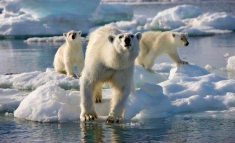 Biến đổi khí hậu sẽ tàn phá môi trường sống của con người và nhiều loài động vật Biến đổi khí hậu sẽ tàn phá môi trường sống của con người và nhiều loài động vật