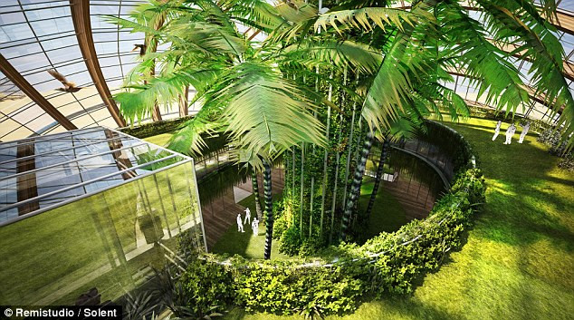 Môi trường nhà kính với cây xanh nhằm cung cấp nguồn thực phẩm và điều tiết không khí Môi trường nhà kính với cây xanh nhằm cung cấp nguồn thực phẩm và điều tiết không khí