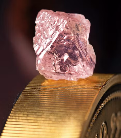 Viên kim cương hồng Williamson Pink được tìm thấy ở Tanzania năm 1947, nặng gần 24 carat, nó là món quà cưới cho Nữ Hoàng Elizabeth II.